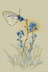 Butterfly by Natalia Ghazaryan