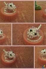 lucky pig with cat paw