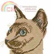 Eva Rosenstand 12-715 Cat