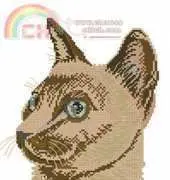 Eva Rosenstand 12-715 Cat