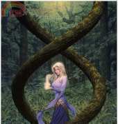 HAED HAEJEBL 2001 Lotus Wood - Jonathan Earl Bowser