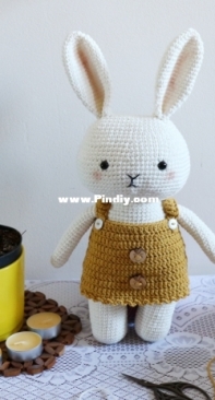 Chubby little bunny 
