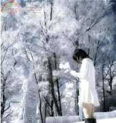 Golden Kite GK 1603 - Tears in Heaven