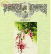 Dimple Design- Fuschia 2