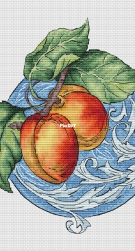 The Cartel of Designers - Apricot by Ksenia Adonyeva / Ксения Адоньева