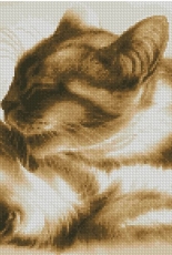 Cats from Yushchuk / Mully