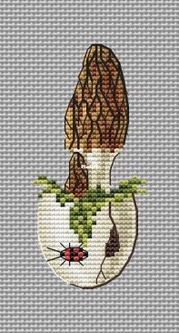 Morel mushroom by Irina Nikiforova