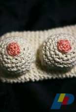 Knit Grit- Codi Hudnall - Breast DS Case Pattern - free