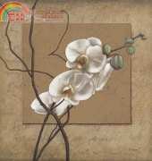 HAED HAE0023 The Tapestry Collection - Golden Orchid By Michele Sayetta