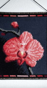 TyBailie - Ty - Orchid Tapestry