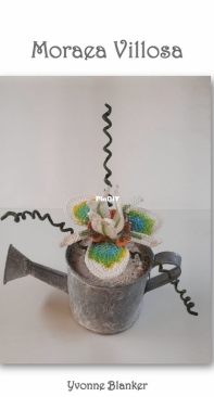 Yvonnes Crochet Art - Yvonne Blanker - Moraea Villosa - Dutch