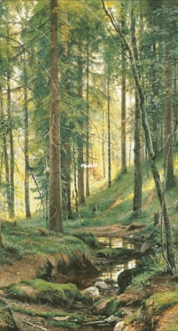 EstE 126 Stream in the Forest XSD