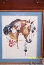 Indian Pony
