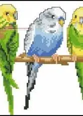 Vervaco 70.895 - Parakeets xsd + pcs