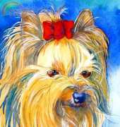 HAEJOL 191 Jo Lynch Yorkie