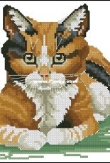 Tilly the Cat - By Jayne Netley Mayhew XSD