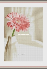 Gerbera by Inna Baydenko / Baidenko Инна Байденко