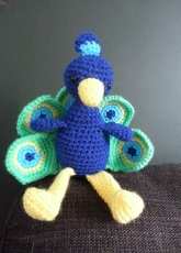 peacock
