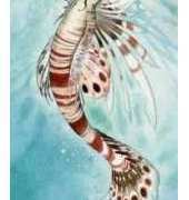 HAED HAESL 917 Lion Fish by Stephanie Pui-Mun Law