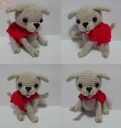 my dog