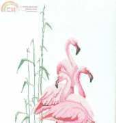 Thea Gouverneur TG 1070 - Flamingos