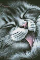 HAED HAEIAG 1502 Sweet Paw by Irina Garmashova (Large Format)