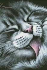 HAED HAEIAG 1502 Sweet Paw by Irina Garmashova (Large Format)