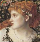 Golden Kite GK 505 Perdita