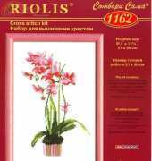 Riolis 1162 orchid