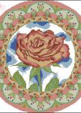 Rose From Kanavice 27 - 2012