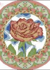 Rose From Kanavice 27 - 2012