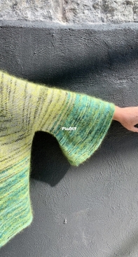 Dip Dyed Raglan by Cathy Lewis, Tall Tree Designs -Free