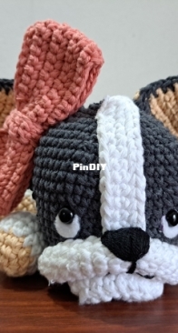 Boston terrier