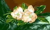 Goblenset 666 Magnolii