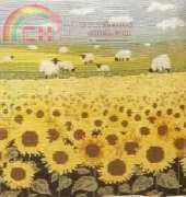 OOE 76408 Garden sunflowers