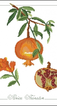 Il frutto del mese - Punica Granatum from ricAmare magazine 2006  XSD + PCS
