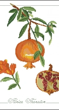 Il frutto del mese - Punica Granatum from ricAmare magazine 2006  XSD + PCS