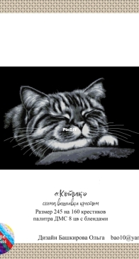 Sea of schemes- Cat by Bashkirova Olga XSD