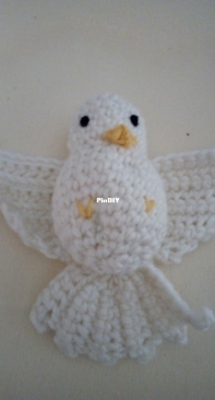 Master dove