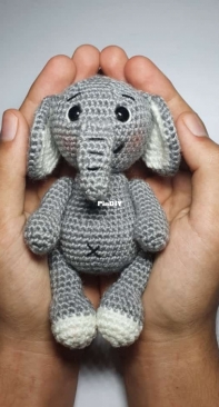 Baby Elephant