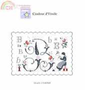 Couleur dEtoile CE0096 Fleurs de Lettre B