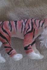 the tiger