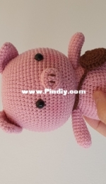 Aquariwool- Pig