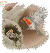 Heritage FFRF540 Robin in Flight