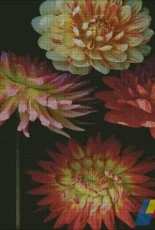 I love Crossstitch ILCS PBD-011 Dahlia Garden