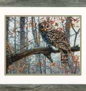 Dimensions 35311 Wise Owl XSD