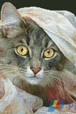Artecy Cross Stitch   Peekaboo Cat