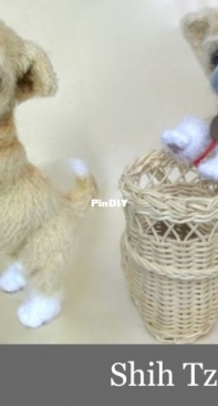 Little owls hut - Chrikova Tatiana - Shih Tzu Puppy - Dutch