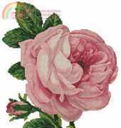 Artecy Cross Stitch Pink Rose and Bud