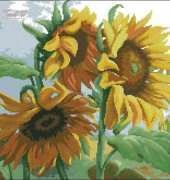 Charivna Mit 548 Sunflowers
